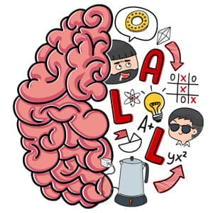 Brain